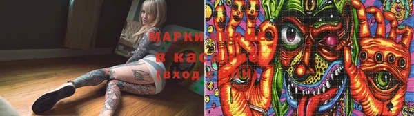 стаф Козельск