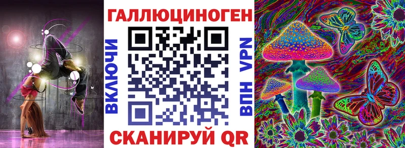 купить   Чаплыгин  Галлюциногенные грибы Psilocybine cubensis 